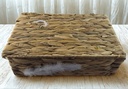 SV Abeilles VGPB